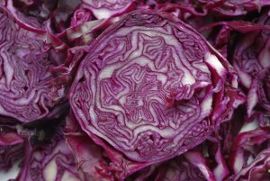 kosher red cabbage recipe